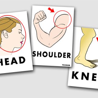 3月の目標 「体のパーツ」を英語で言えるようになる