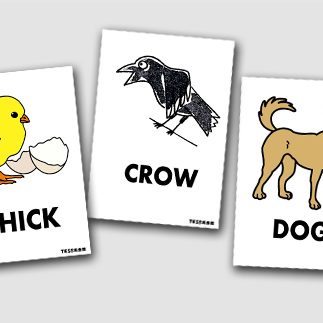 8月の目標 「身近な動物」を英語で言えるようになる