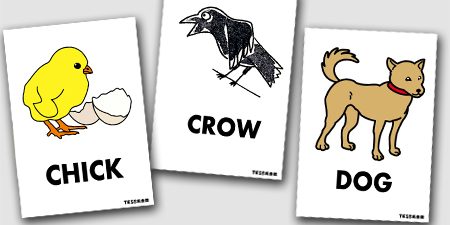 8-animal1 8月の目標 「身近な動物」を英語で言えるようになる